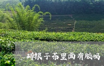 碎银子茶里面有胶吗/2023041679460