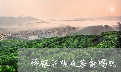 碎银子隔夜茶能喝吗/2023032092916