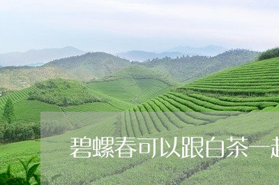 碧螺春可以跟白茶一起泡吗/2023041283725