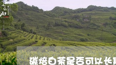 碳焙白茶是否可以长期保存/2023041212149