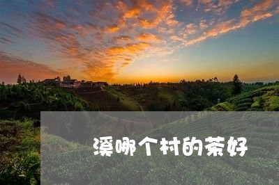 磻溪哪个村的茶好/2023041412606