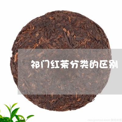 祁门红茶分类的区别/2023032151137