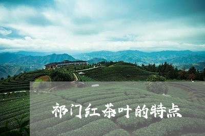 祁门红茶叶的特点/2023032708581