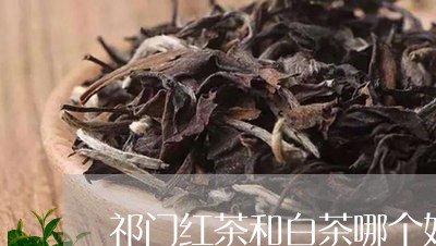 祁门红茶和白茶哪个好一点/2023041688159