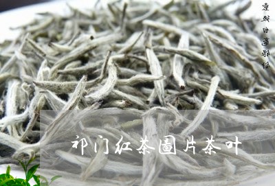 祁门红茶图片茶叶/2023032719583