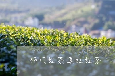 祁门红茶滇红红茶/2023032938581