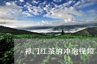 祁门红茶的冲泡视频/2023032182136