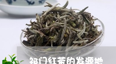 祁门红茶的发源地/2023032514948