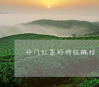 祁门红茶的特征概括/2023041705048