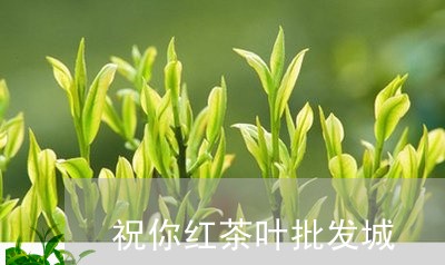 祝你红茶叶批发城/2023032792925