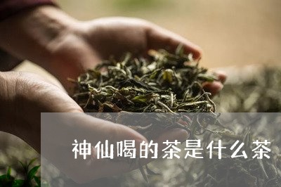 神仙喝的茶是什么茶/2023041541704