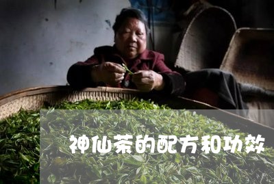 神仙茶的配方和功效/2023032149371