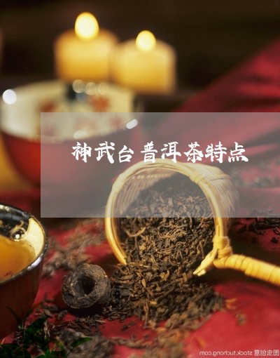 神武台普洱茶特点/2023041316382