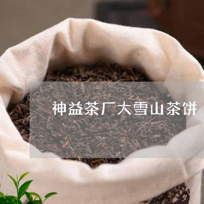 神益茶厂大雪山茶饼/2023041432725