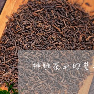 神雕茶业的普洱茶/2023040180603