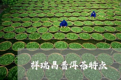 祥瑞昌普洱茶特点/2023040989615