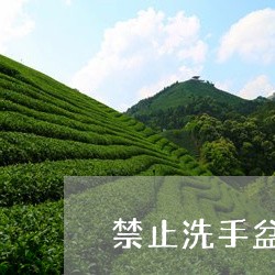 禁止洗手盆倒茶叶/2023032720603