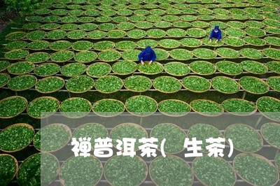 禅普洱茶(生茶)/2023031701704