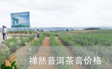 禅然普洱茶膏价格/2023041328482