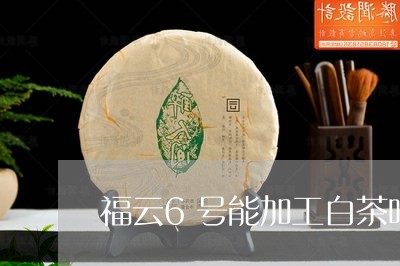 福云6号能加工白茶吗视频/2023033062616