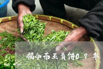 福今茶王青饼09年/2023041608157