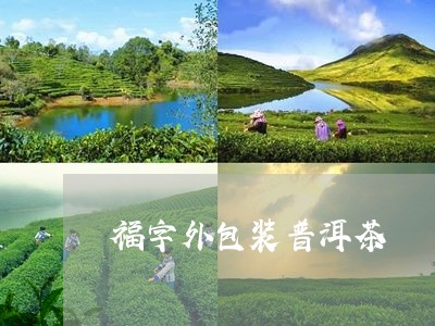 福字外包装普洱茶/2023033129505