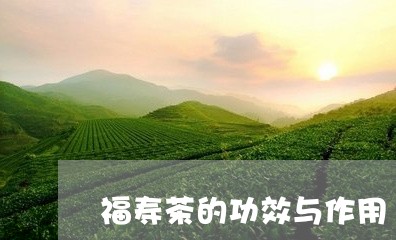 福寿茶的功效与作用/2023032102735