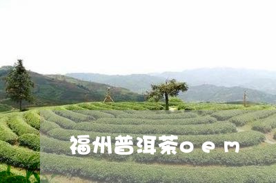 福州普洱茶oem/2023031791826