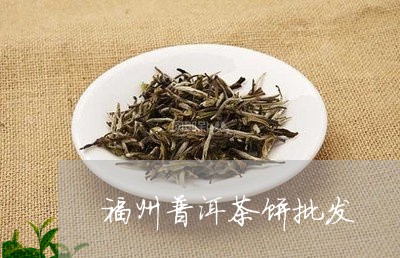 福州普洱茶饼批发/2023041318502