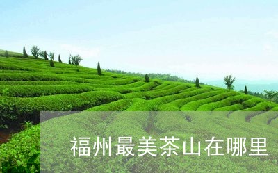 福州最美茶山在哪里/2023041696070