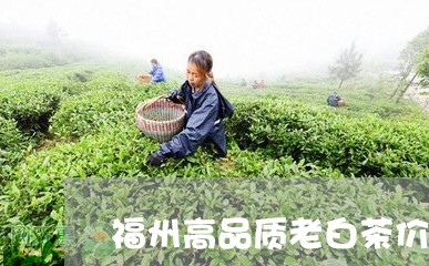 福州高品质老白茶价格查询/2023041765936