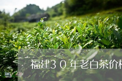 福建30年老白茶价格多少/2023033102839