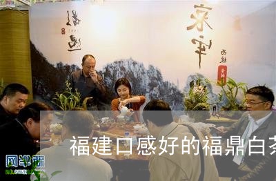 福建口感好的福鼎白茶推荐/2023041753504