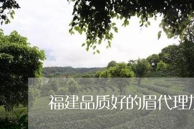 福建品质好的眉代理加盟/2023041764048