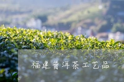 福建普洱茶工艺品/2023041333695