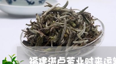 福建湛卢茶业时来运转白茶/2023041732726