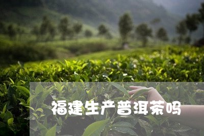 福建生产普洱茶吗/2023041048284