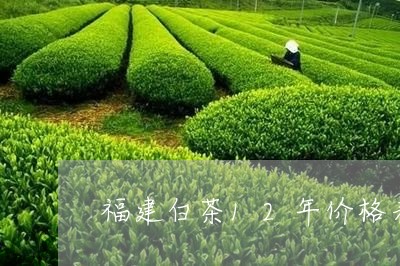 福建白茶12年价格表图片/2023033085271