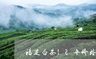 福建白茶12年价格表大全/2023033019481