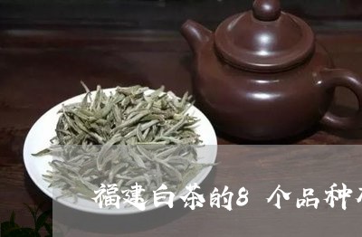 福建白茶的8个品种有哪些/2023033072506