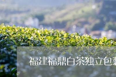 福建福鼎白茶独立包装价格/2023041775816