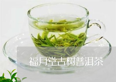 福月堂古树普洱茶/2023033109537