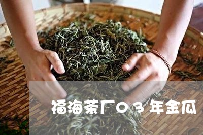 福海茶厂03年金瓜/2023032036856