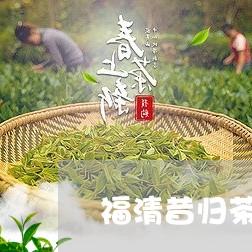 福清昔归茶叶品牌/2023032372746