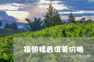 福照楼普洱茶价格/2023041313824