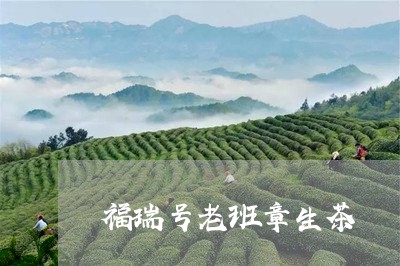 福瑞号老班章生茶/2023032911492