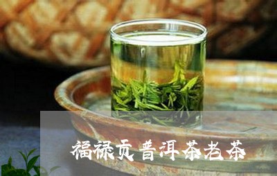 福禄贡普洱茶老茶/2023031669694