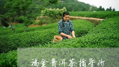 福金普洱茶指导价/2023033161715