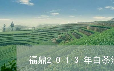 福鼎2013年白茶润天下/2023033136261