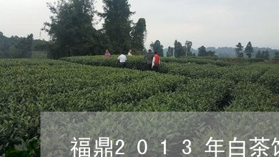 福鼎2013年白茶饼价格/2023033138463